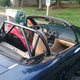 Illustration for article titled Roll bar Pictures